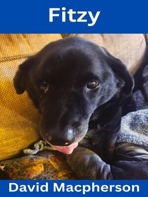 cover image of Fitzy